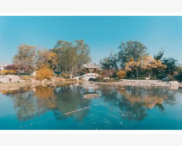 罗汉果枇杷：清肺的天然宝物