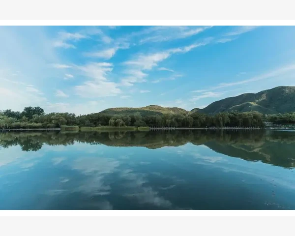 男人易疲劳，吃什么好？：解密中医科学调理身体的秘方
