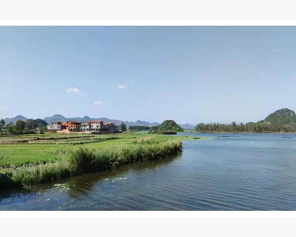 金匮要略化痰金方：中医传统智慧的治疗秘笈