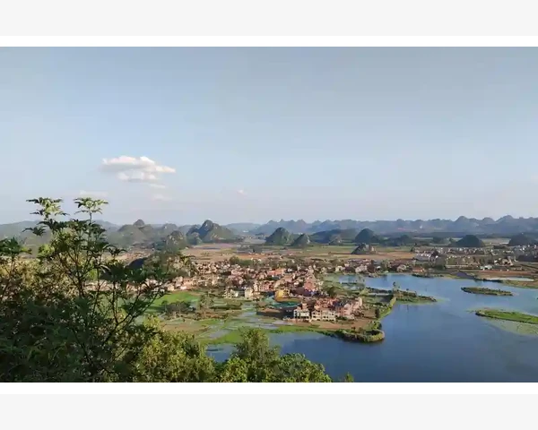 让葱白驱寒：中医的温暖秘方